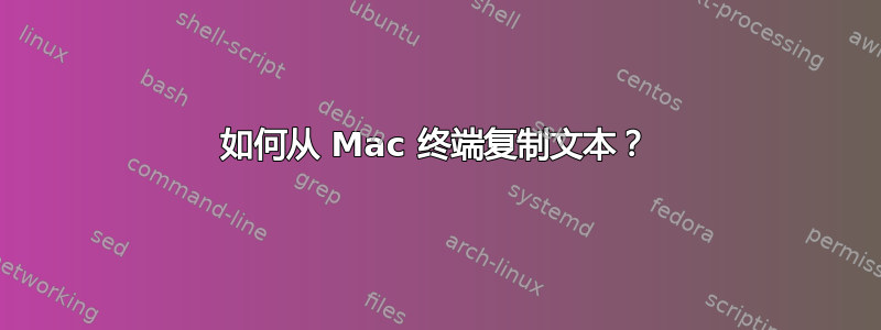 如何从 Mac 终端复制文本？