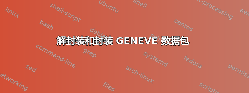 解封装和封装 GENEVE 数据包