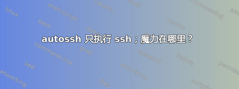 autossh 只执行 ssh；魔力在哪里？