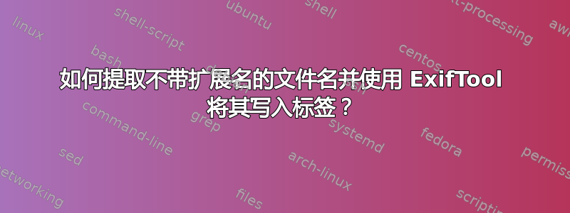 如何提取不带扩展名的文件名并使用 ExifTool 将其写入标签？