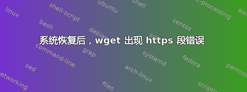 系统恢复后，wget 出现 https 段错误