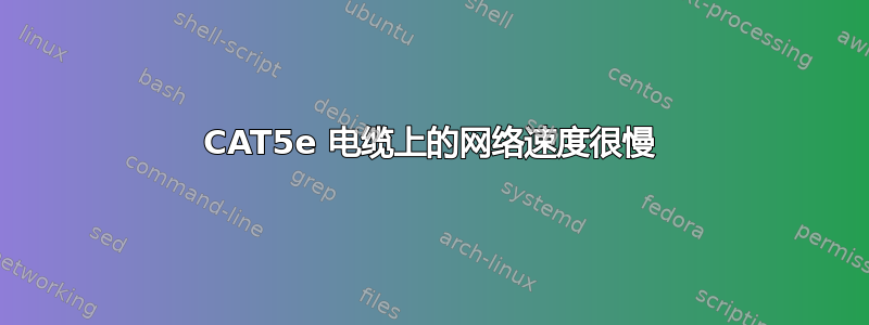 CAT5e 电缆上的网络速度很慢