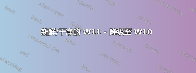 新鲜/干净的 W11 - 降级至 W10