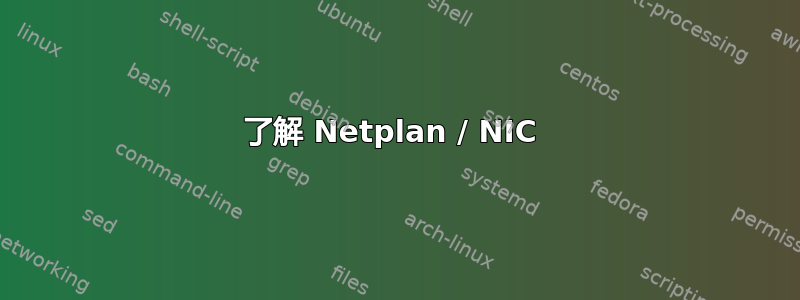 了解 Netplan / NIC 