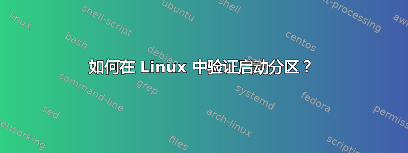 如何在 Linux 中验证启动分区？