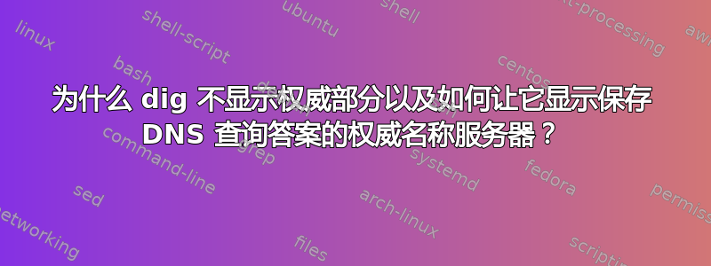 为什么 dig 不显示权威部分以及如何让它显示保存 DNS 查询答案的权威名称服务器？