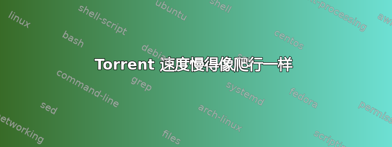 Torrent 速度慢得像爬行一样