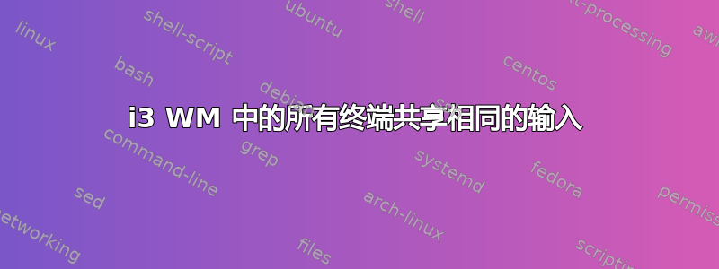 i3 WM 中的所有终端共享相同的输入