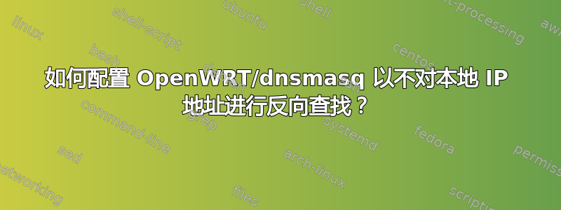 如何配置 OpenWRT/dnsmasq 以不对本地 IP 地址进行反向查找？