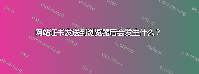 网站证书发送到浏览器后会发生什么？