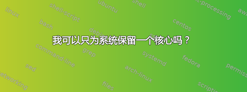 我可以只为系统保留一个核心吗？