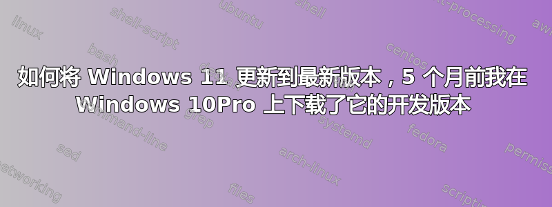 如何将 Windows 11 更新到最新版本，5 个月前我在 Windows 10Pro 上下载了它的开发版本