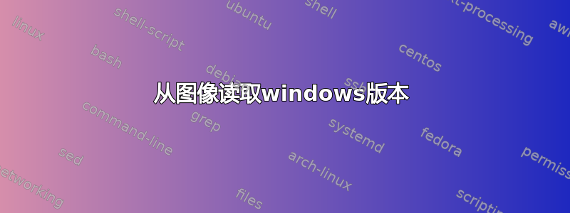 从图像读取windows版本