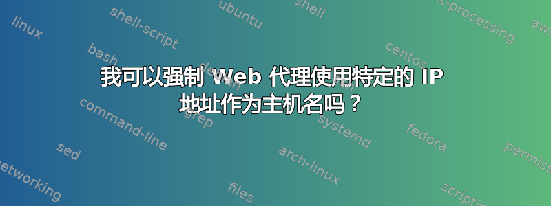 我可以强制 Web 代理使用特定的 IP 地址作为主机名吗？