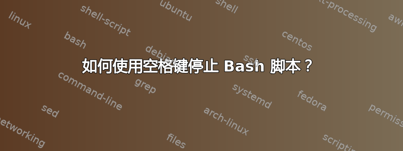 如何使用空格键停止 Bash 脚本？