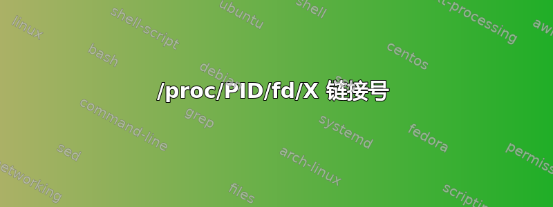 /proc/PID/fd/X 链接号