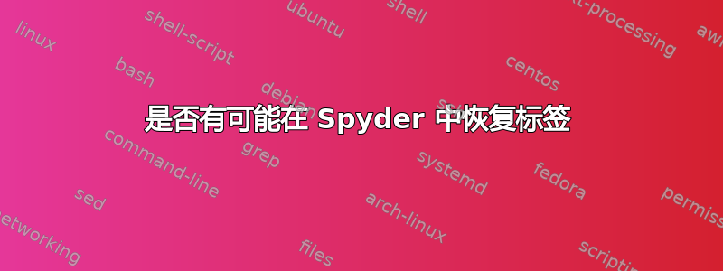 是否有可能在 Spyder 中恢复标签