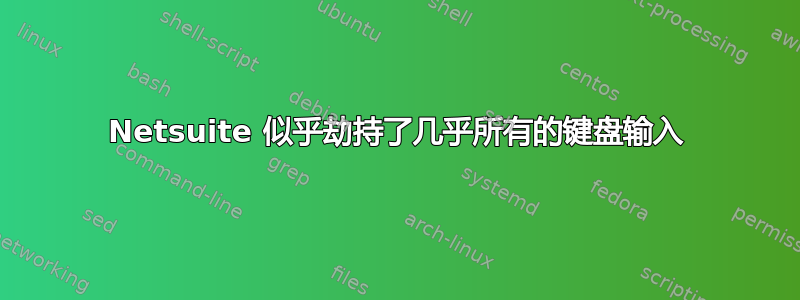 Netsuite 似乎劫持了几乎所有的键盘输入