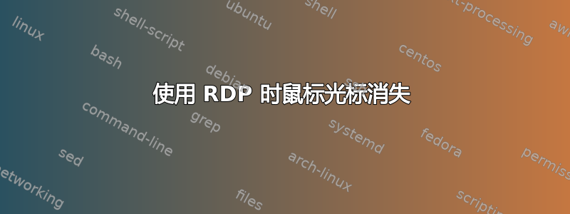 使用 RDP 时鼠标光标消失