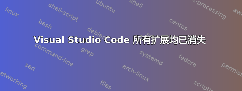 Visual Studio Code 所有扩展均已消失