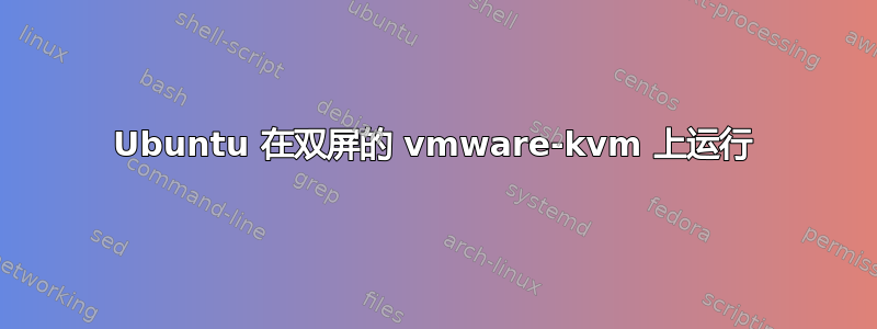 Ubuntu 在双屏的 vmware-kvm 上运行