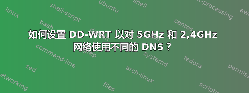 如何设置 DD-WRT 以对 5GHz 和 2,4GHz 网络使用不同的 DNS？