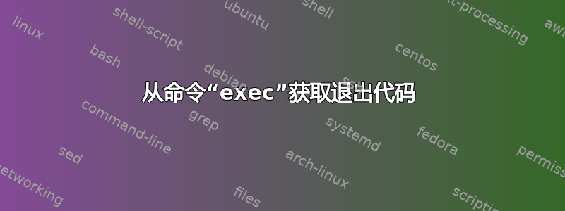 从命令“exec”获取退出代码