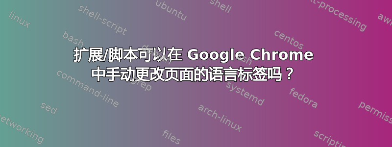 扩展/脚本可以在 Google Chrome 中手动更改页面的语言标签吗？