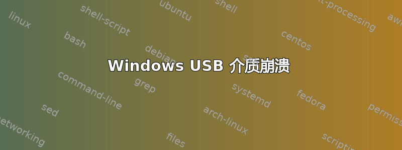 Windows USB 介质崩溃