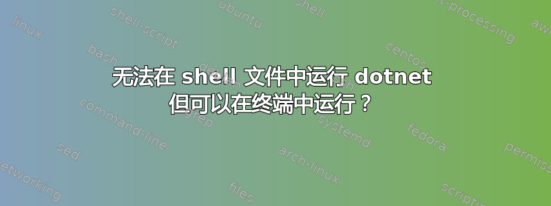 无法在 shell 文件中运行 dotnet 但可以在终端中运行？