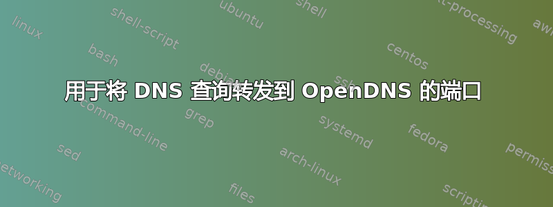 用于将 DNS 查询转发到 OpenDNS 的端口