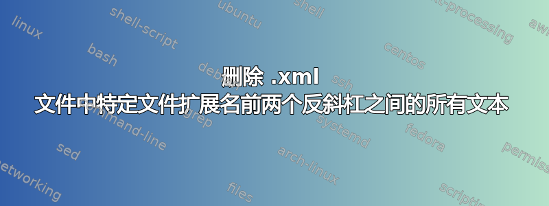 删除 .xml 文件中特定文件扩展名前两个反斜杠之间的所有文本