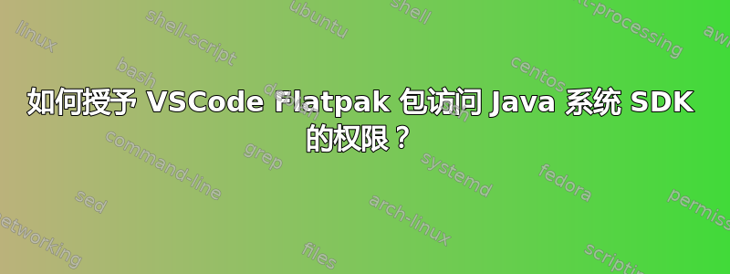 如何授予 VSCode Flatpak 包访问 Java 系统 SDK 的权限？