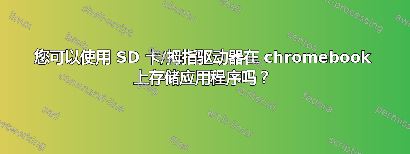 您可以使用 SD 卡/拇指驱动器在 chromebook 上存储应用程序吗？