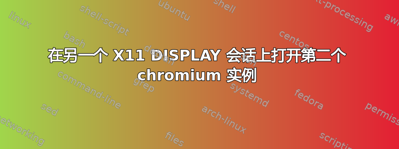 在另一个 X11 DISPLAY 会话上打开第二个 chromium 实例