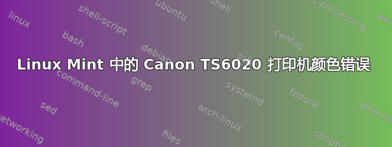 Linux Mint 中的 Canon TS6020 打印机颜色错误