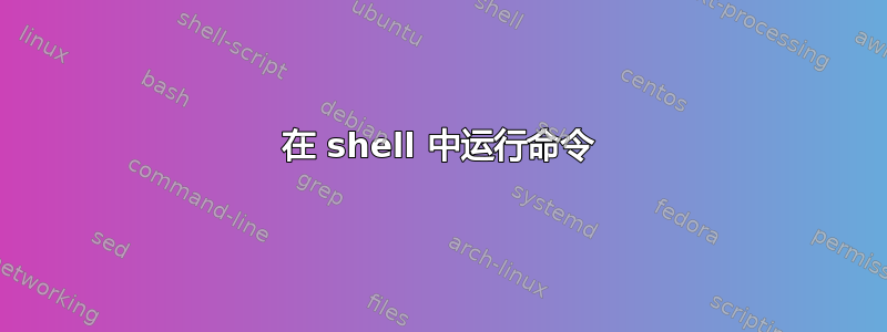 在 shell 中运行命令