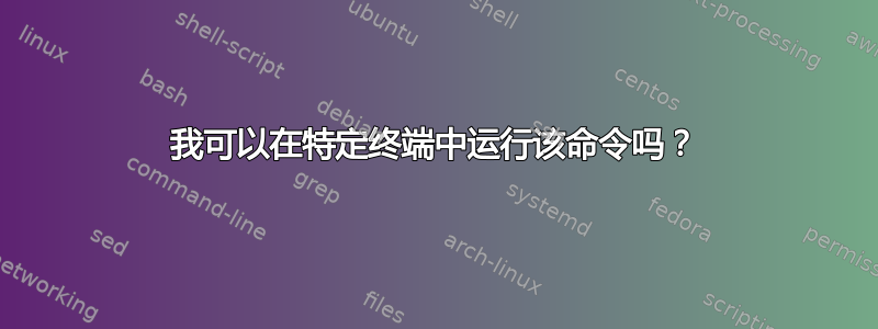 我可以在特定终端中运行该命令吗？