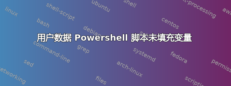 用户数据 Powershell 脚本未填充变量