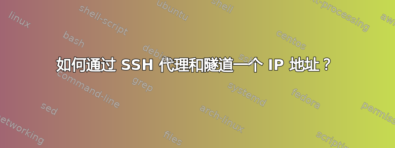 如何通过 SSH 代理和隧道一个 IP 地址？