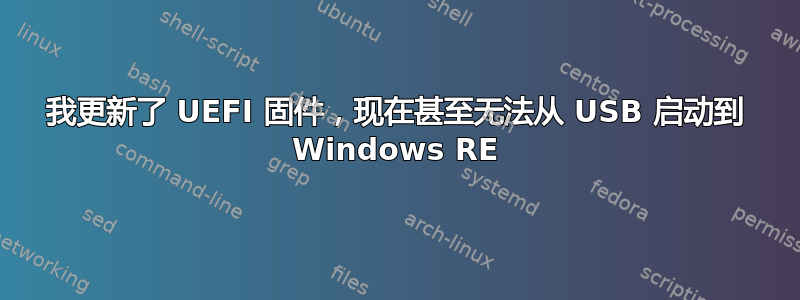 我更新了 UEFI 固件，现在甚至无法从 USB 启动到 Windows RE