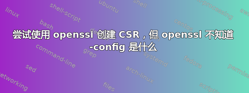 尝试使用 openssl 创建 CSR，但 openssl 不知道 -config 是什么