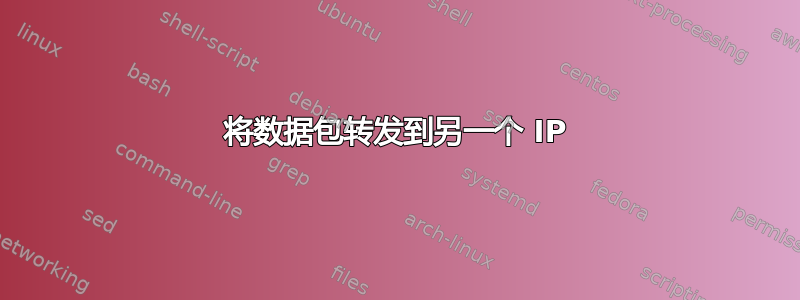 将数据包转发到另一个 IP