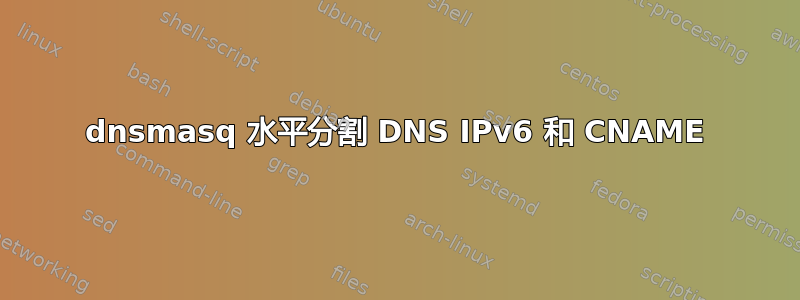 dnsmasq 水平分割 DNS IPv6 和 CNAME