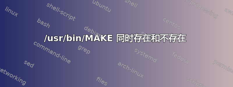 /usr/bin/MAKE 同时存在和不存在