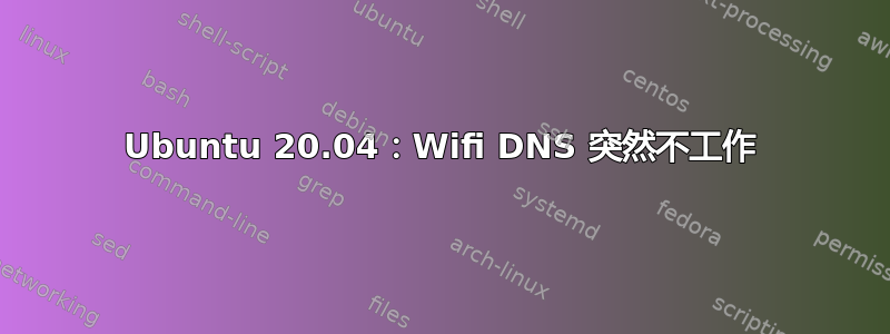 Ubuntu 20.04：Wifi DNS 突然不工作