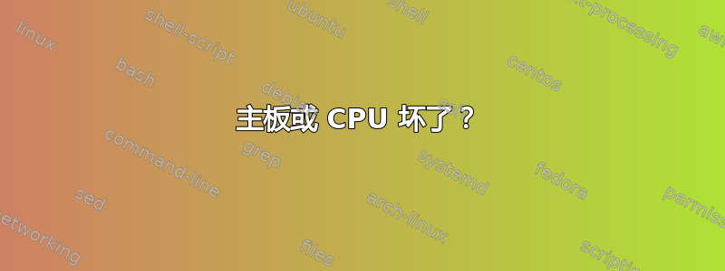 主板或 CPU 坏了？