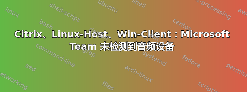 Citrix、Linux-Host、Win-Client：Microsoft Team 未检测到音频设备