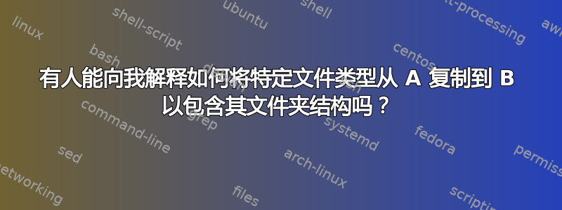 有人能向我解释如何将特定文件类型从 A 复制到 B 以包含其文件夹结构吗？