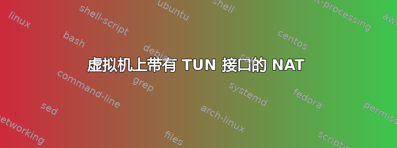 虚拟机上带有 TUN 接口的 NAT